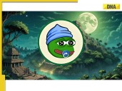 Little Pepe (LILPEPE) Crypto Price Forecast for Q4 2025 Bull Run