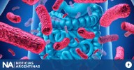 El rol del microbioma en la salud humana, animal, vegetal y ambiental