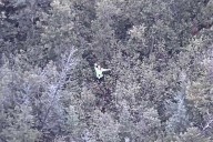 Woman, 36, Filming YouTube Survival Show Rescued After 18 Hours Missing in Forest