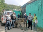 Rescatan dos monos capuchinos que mantenían en cautiverio