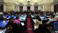 El Senado rechazó el veto a la emergencia en Discapacidad Tal como se preveía, la Cámara Alta rechazó por amplísima mayoría el decreto el Gobierno de Javier Milei. Discapacitados y familiares se convo