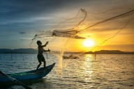 Odisha’s Seafood Exports Hit by US Tariff, Govt Looking for Alternative Markets: Minister