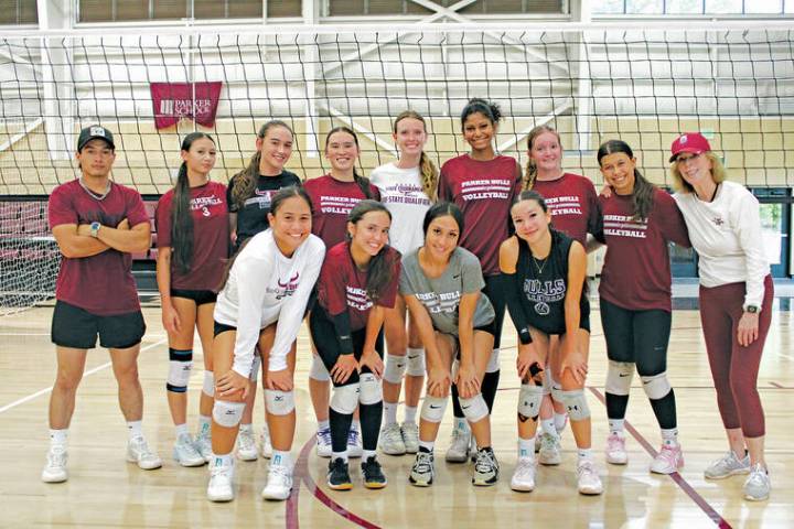 BIIF volleyball: Bulls embracing unbeaten start