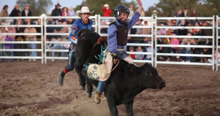 Junior rodeo excitement at Singleton Show