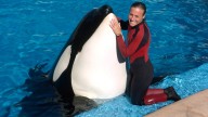 My sister was SeaWorld trainer killed by orca Tilikum, it’s a day that will haunt me forever