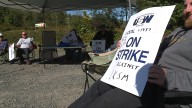 ‘Frustrating’: Forestry strike continues on north Island