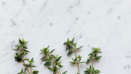 La planta aromática que es un tesoro natural: aprovecha sus beneficios digestivos, antioxidantes y relajantes en una simple infusión