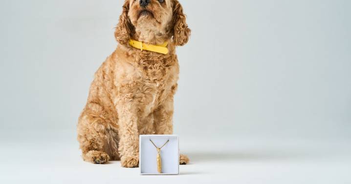 Dog owners can now get a necklace made from their poo
