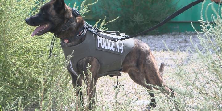 GIPD receives donation for their K