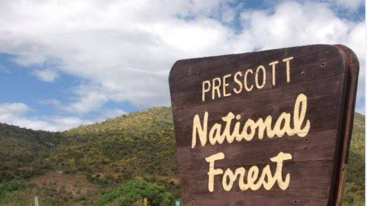 Roadless rule repeal could impact a million acres in Arizona