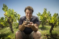 El winemaker mendocino candidato a mejor enólogo del mundo