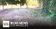 Palisades Fire survivors outraged by brush clearance citations