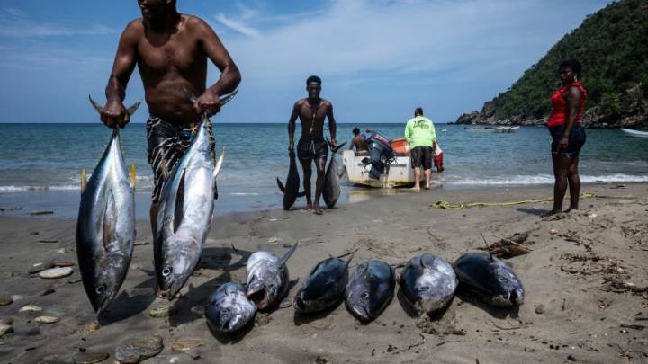 “Si no salimos a pescar, ¿qué vamos a comer?” dice pescador venezolano ante las tensiones en el Caribe