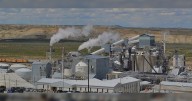 WE Soda Distances Itself From Investigation Involving Principal Shareholder