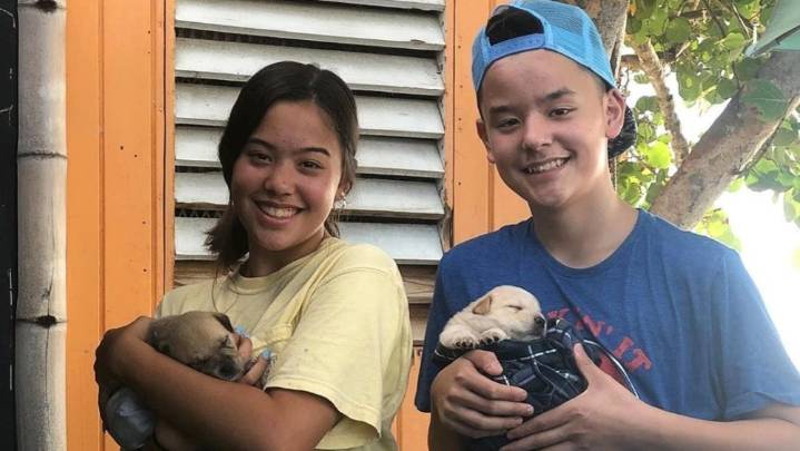 Collin Gosselin’s Ups and Downs With His Estranged Siblings Over the Years