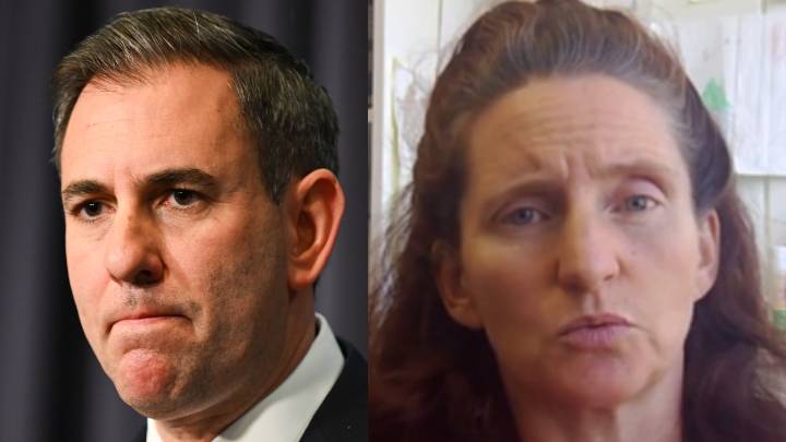 Economist ridicules Treasurer Jim Chalmers’ defence of net zero labelling it 'anti
