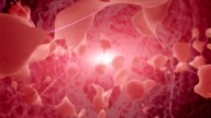 Huntington's disease successfully treated in 1st major breakthrough