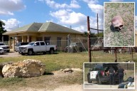 Texas plumber finds decomposed human skull he mistook for a 'dried cantaloupe' while mowing lawn