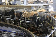 Riverview's proposed Hillsboro dairy receives permit from North Dakota Department of Environmental Quality