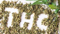 Texas emite una orden para prohibir la venta a menores de THC, principal compuesto de la marihuana