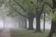 Central Pa. under a dense fog advisory before rain moves in today
