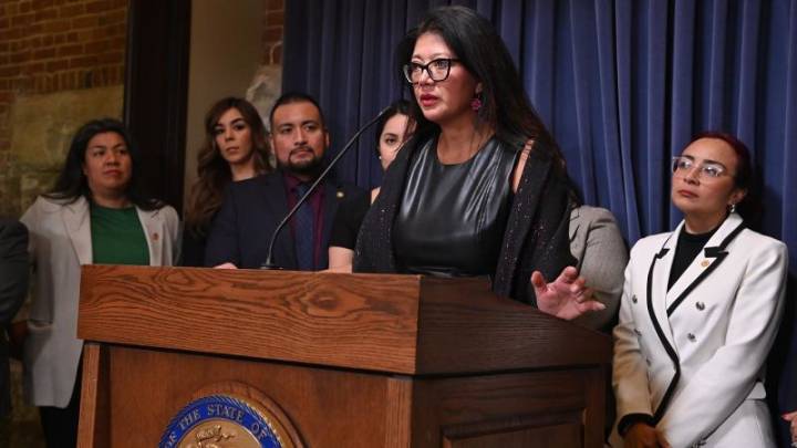 Karina Villa, senadora de Chicago, que confrontó a ICE: Migrantes viven con temor a operativos de ICE