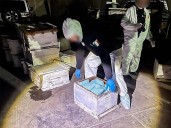Asegura gabinete de seguridad fentanilo en Sonora