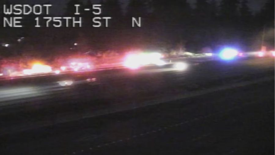 Hit-and-run suspect struck and killed hours after wrong