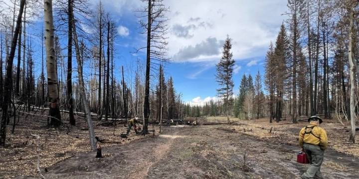 Dragon Bravo Fire 100% contained in northern Arizona after nearly 3 months