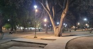 Parejita acaramelada asqueó a todos en pleno Parque San Martín: "No paraban..."