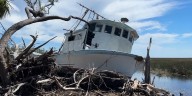 ‘We’re still here fighting’: Remnants from Helene’s destruction remain in Taylor County year after landfall