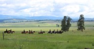 Horse law shields Paws Up luxury ranch from lawsuit, Montana Supreme Court rules