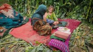 Afghanistan earthquake 'could worsen country's refugee crisis'