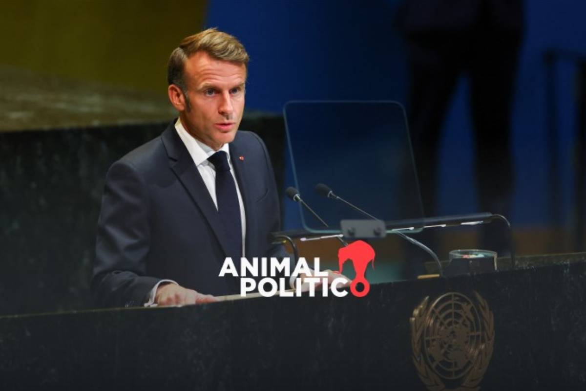 Francia reconoce en ONU al Estado palestino y condiciona apertura de una embajada a un alto al fuego