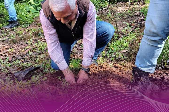 Plantan mil 500 árboles en jornada forestal en Villa Guerrero