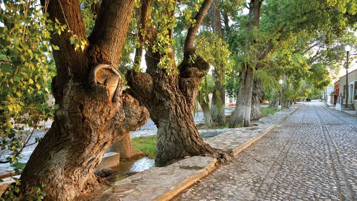 El pequeño pueblo de México que es hermoso y considerado el más seguro del país