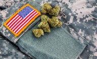 Discover This Veteran Owned Weed Brand in New York