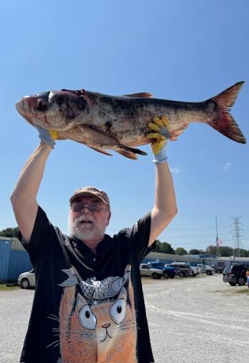 Kentucky teacher turns invasive carp into food for injured birds of prey