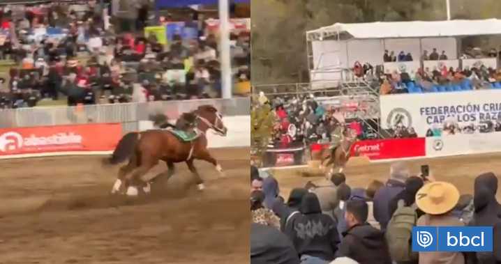 Video muestra fuerte caída de carabinero de caballo durante presentación de Fiestas Patrias