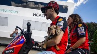 Turbo, el mejor amigo de un Bagnaia que necesita cariño