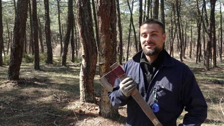 Escuela de resineros en Guadalajara para impulsar un empleo ecológico en desaparición