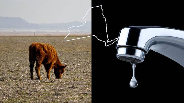 Capital Region Counties Added to New York’s Expanding Drought Watch