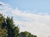 NJ weather: Still mild Monday, before clouds and showers return