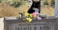 Mysterious tombstone appears in Butte neighborhood