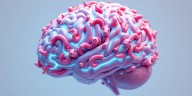The Man, The Bacon, The Brain Worm Invasion!