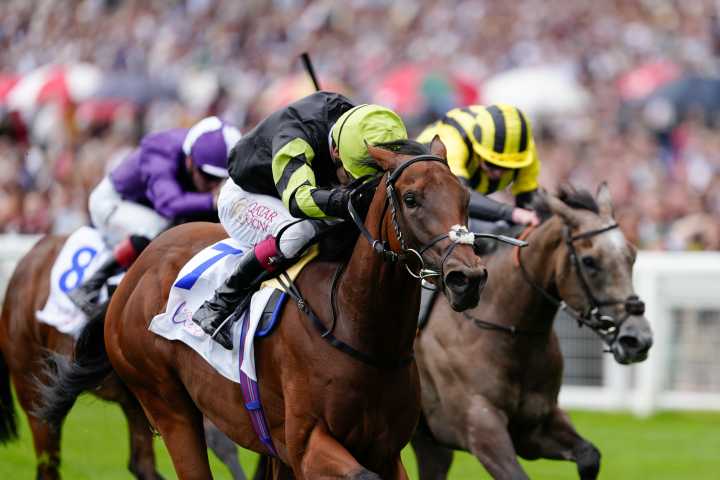 Fixate on Fitzella to spoil Royal Cheveley Park party