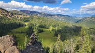 Would rescinding the Roadless Rule impact forests in…