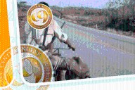 ¿Por qué no detienen a los campesinos que portan armas de fuego en Yucatán? ¿Cuándo sí los pueden detener?