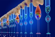 Braille to Sight: Opus Genetics' Gene Therapy Treats Rare Childhood Blindness