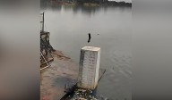 Hyderabad: Flood warning for discharge of 12,000 cusecs from twin reservoirs issued